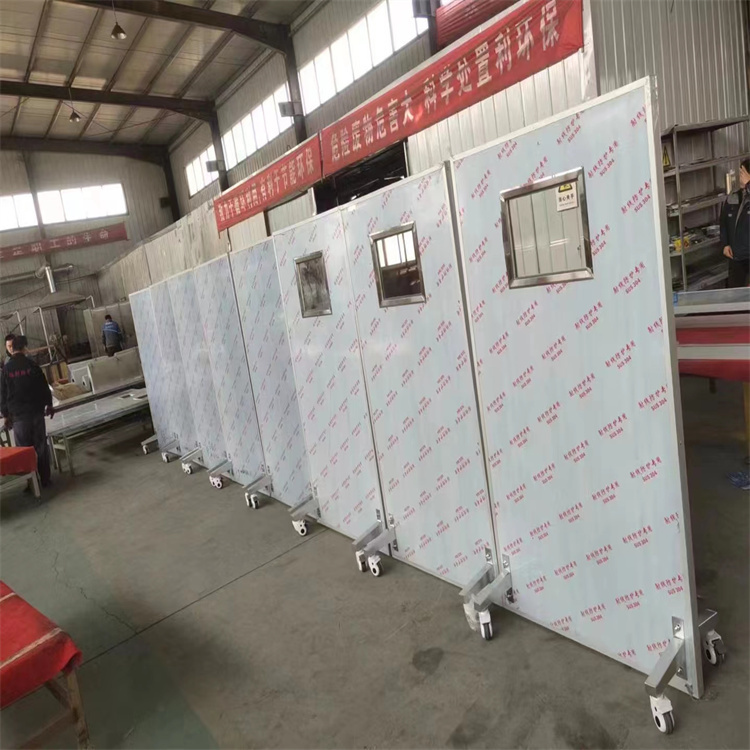 枣庄射线防护铅门颜色